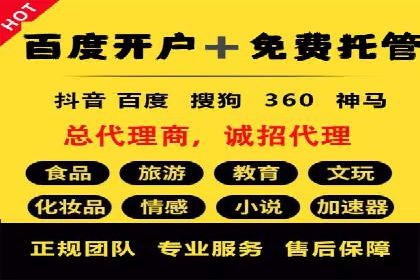 SEM竞价优化策略：成功案例解析